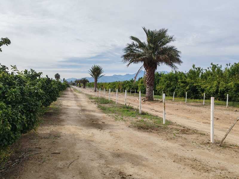 Proyecto Parcelación Las Palmas de Ocoa